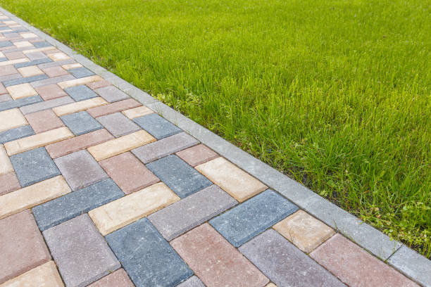 Best Driveway Paving Near Me  in West Canton, NC